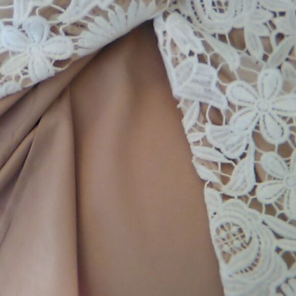 Mikael Aghal Guipure Lace Sheath Dress - Picture 11 of 14